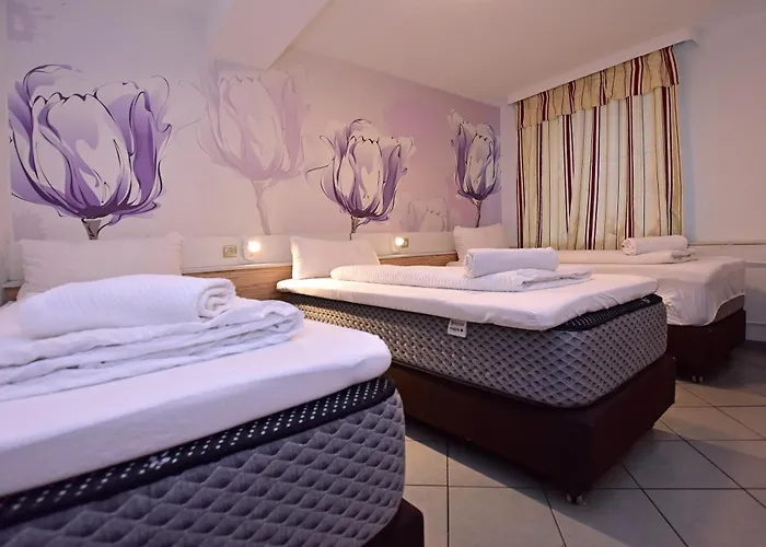 Hotel Ambiente By Next